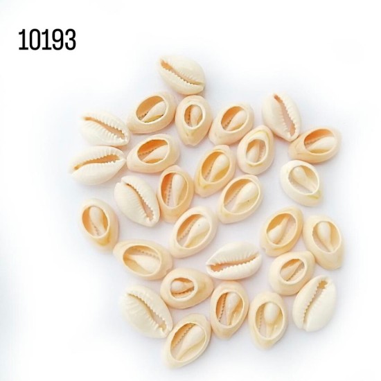 10193