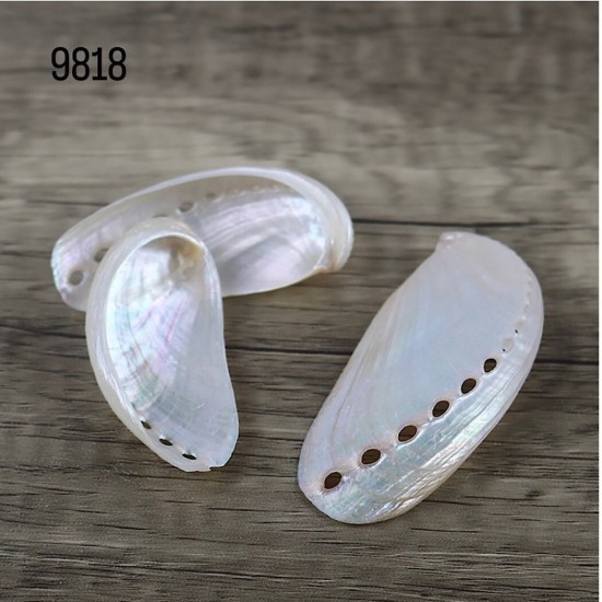 צדף פנינה טבעי עם חורים 